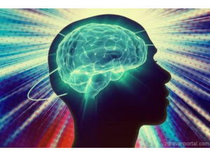 23 фактa за човешкия мозък