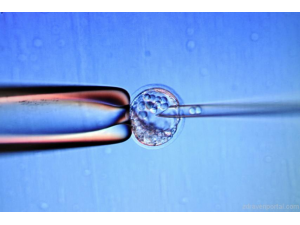 Роди се първото бебе с трима биологични родители