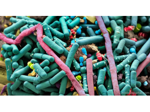 Учени установиха как да се борят със субермикробите без антибиоцити