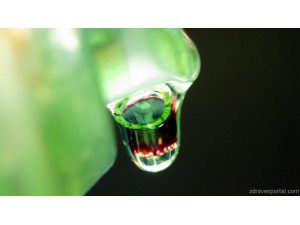 В САЩ забраниха продажбата на антибактериални сапуни