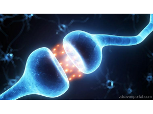 Можем да управляваме хормоните и с хранене