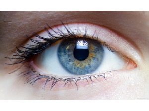 Руски учени успяха да синтезират ретина в лабораторни условия