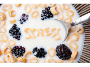 Храни, които намаляват вредните ефекти от стреса