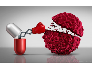 Учени: Хибернацията може да помогне борбата с рака