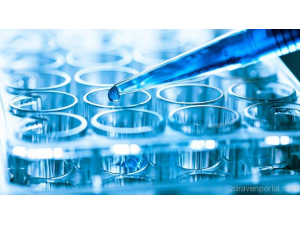 5 хормона контролират теглото и настроението