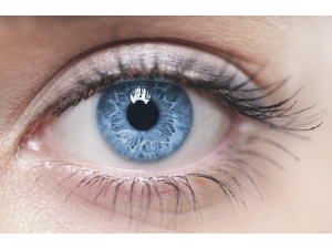 Създадоха изкуствена ретина, която може да върне зрението на милиони хора