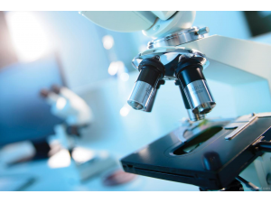 Руски учени създават алтернатива на антибиотиците