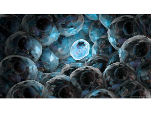 Стволови клетки: Обратима ли е мозъчната смърт?