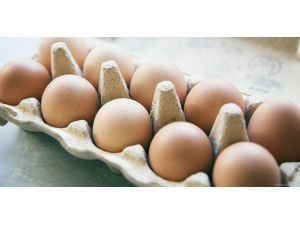 9 неща, които ще се случат с тялото ви, ако започнете да ядете по 2 яйца на ден