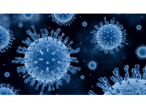 Проучване: Южна Америка крие опасност за здравето на човечеството