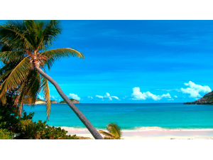 Морето е естествен лек срещу депресия