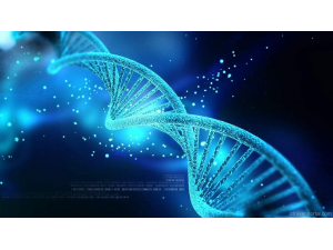 10 начина да повишим имунитета си