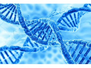 Учени коригираха за пръв път дефектни гени при човешки ембриони