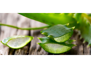 Алое вера – за какво се прилага ?