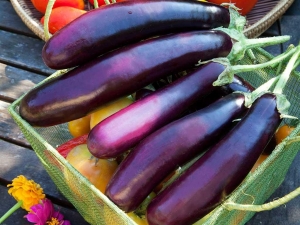 Патладжан - зеленчукът, пълен с фибри