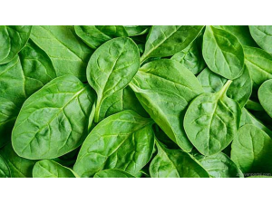 Спанак – зарежда ни с витамини, подобрява зрението