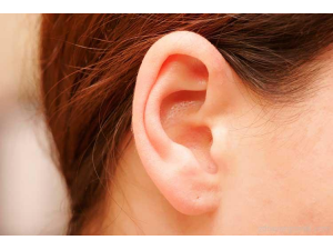 Как чуваме и възприемаме звуците около нас ?