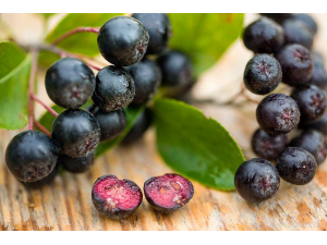 Арония – супер храна и силен антиоксидант