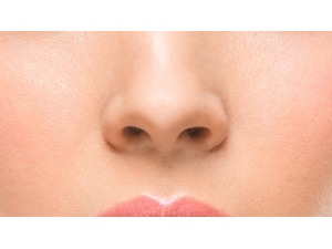 Датски учени създадоха изкуствен нос