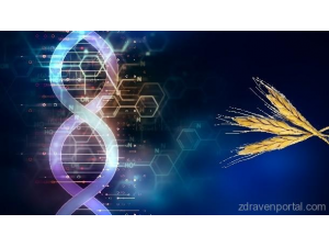 Персонализирана медицина: Нутригенетика и нутригеномика – връзката между генома и храната