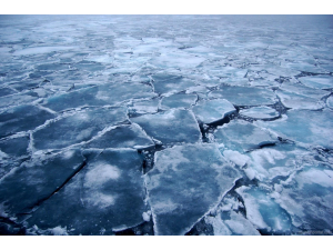 Зимният студ е 8 пъти по-смъртоносен от летните горещини