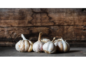 Как лекува чесънът ?