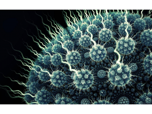 Вирусите са полезни за здравето ?!