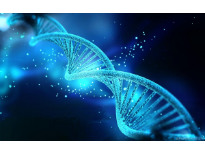 Гени ще помагат за лечение на рак и глухота