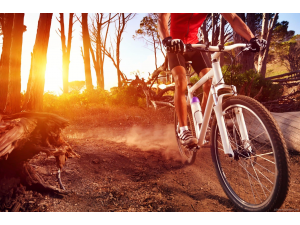 Колко трябва да спортуваме, за да бъдем здрави и да живеем дълго?