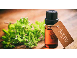 Масло от риган – естествен антибиотик