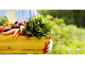 Защо да консумираме биологични храни