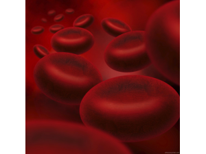 Д-Р Виктория Върбанова - Клинична Хематология ЕООД