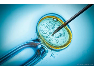 В Китай клонираха примати за първи път