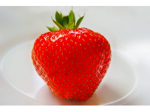 Ягодите забавят остаряването на мозъка