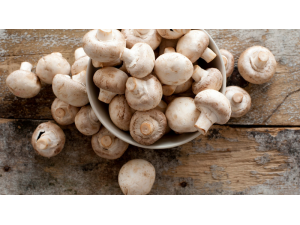 5 факта за гъбите, които вероятно не знаете