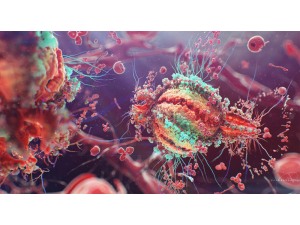 Глобалното затопляне може да отключи много опасни бацили